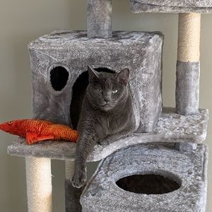 Meet your Posher, Jeanette